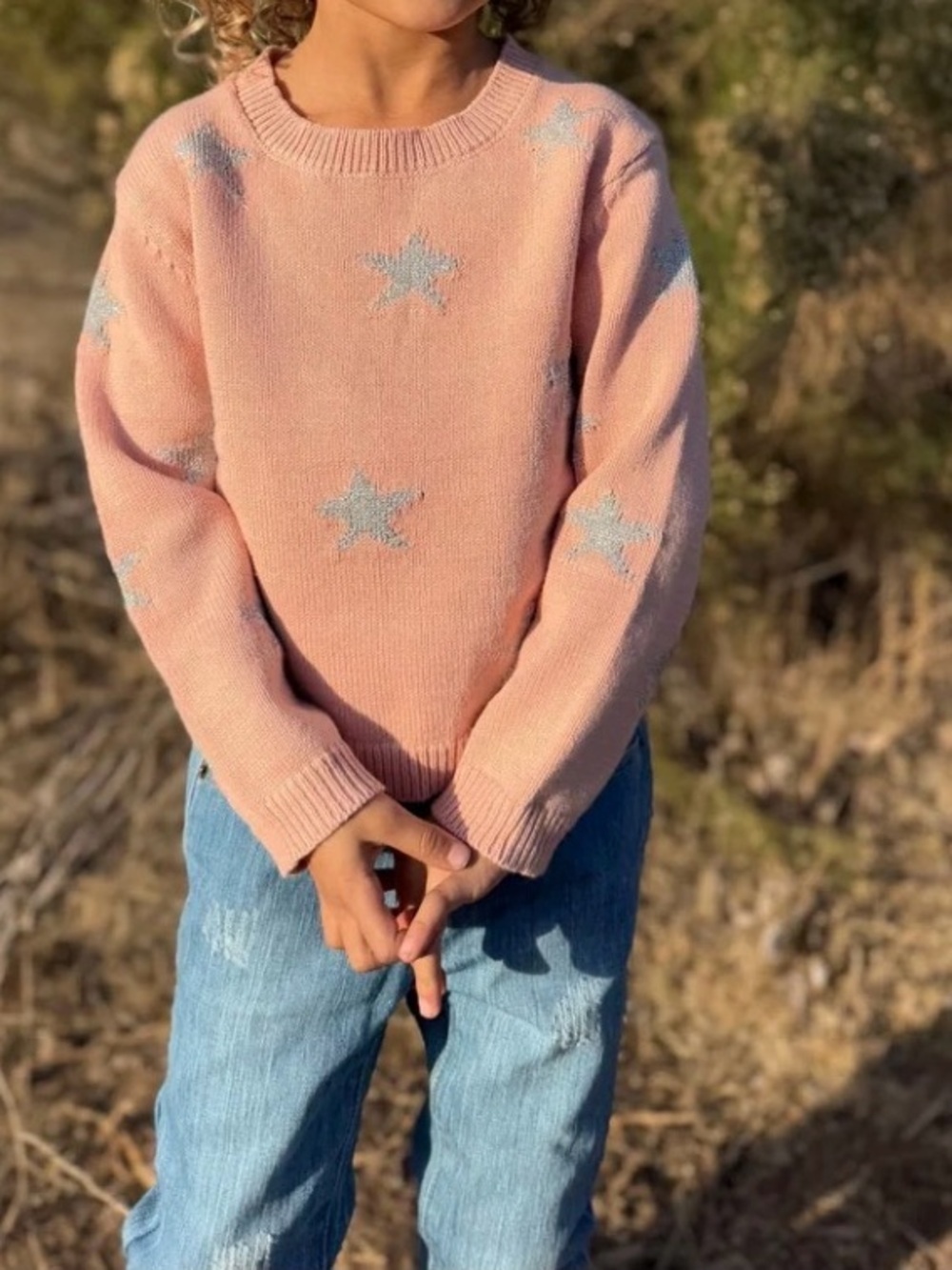 Vignette - ROBYN SWEATER IN PINK STAR